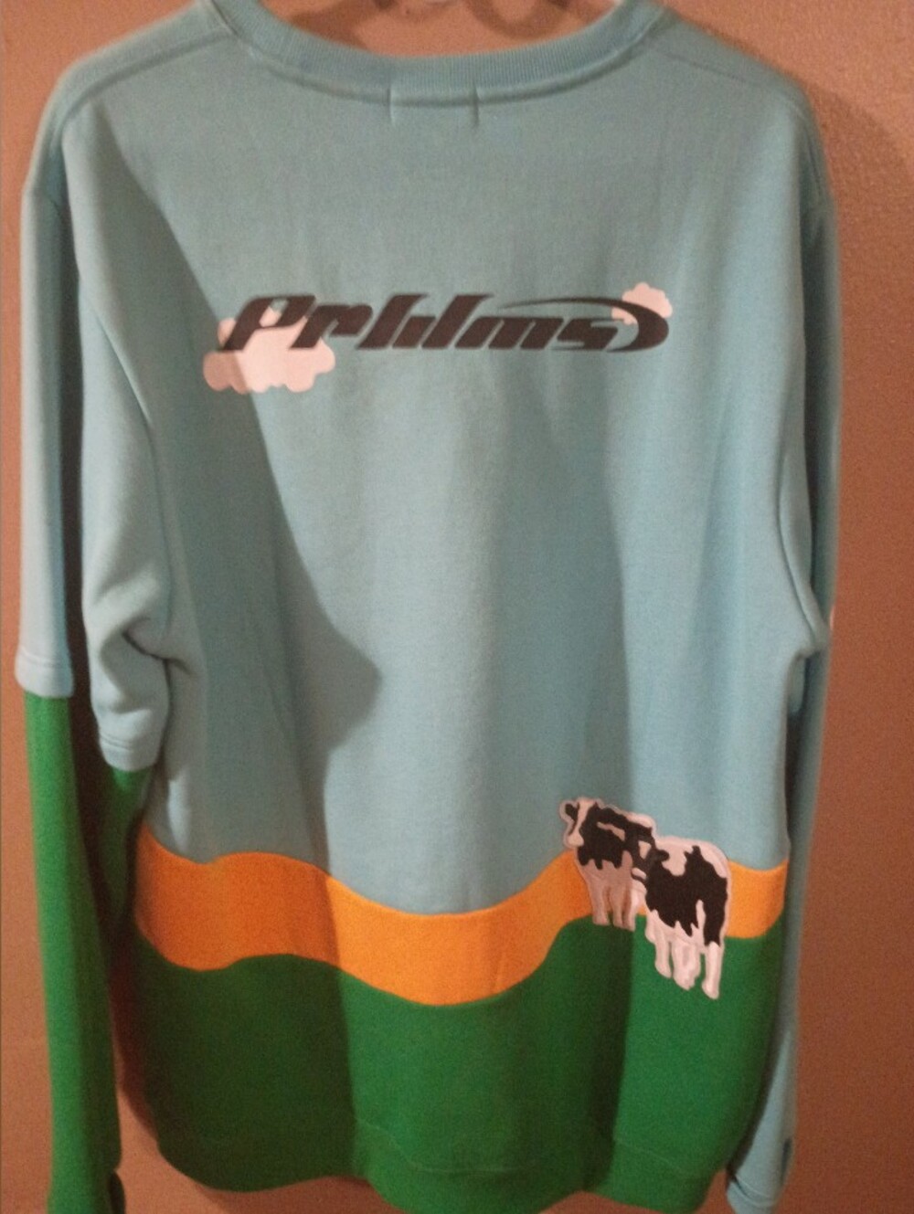 Nike Light Blue and Green Crewneck Sweater with Cloud & Cow Graphic - Picture 2 of 5